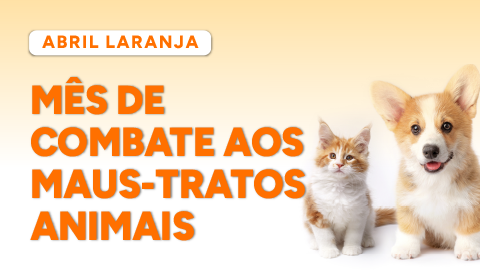 Thumbs ESA Abril Laranja 480x272px 1 (1).png